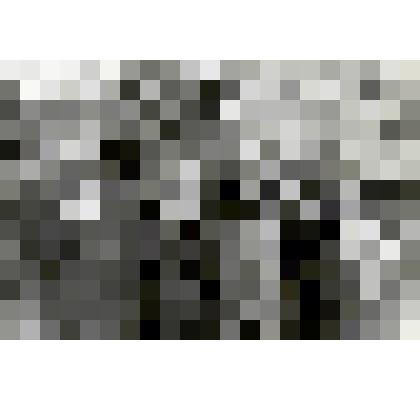 Фото. Ветераны Великой Отечественной войны. 9 мая 1982 г