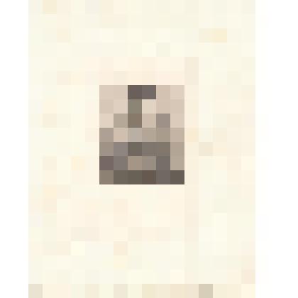 Гравюра. Неизвестная принцесса