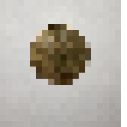 Монета три копейки