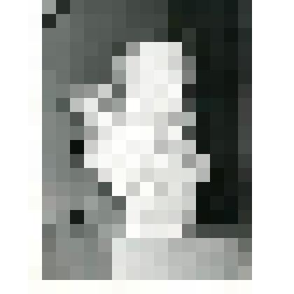 Фотография. Бюст Э. Толля в экспозиции музея