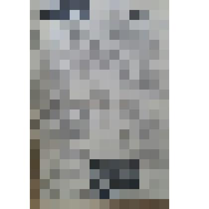 Газета "Адлерская правда"
№23 (2827) от 21.02.1958 г