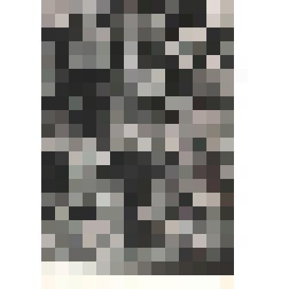 Иллюстрация. Таблица № 93. Выпуск "19-20".
 Из комплекта таблиц "Красота форм в природе"