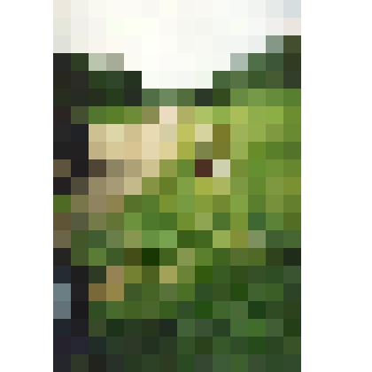 Фотография цветная. Привал на пути к п. Хорпия. Уральские горы