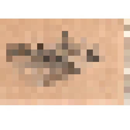 Часовня и церковь. Церковь Иоанна Богослова на Ковде (?). Рисунок