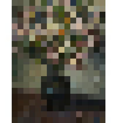 Полевые цветы