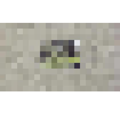 Фотография цв. Павло- Обнорский монастырь. Тропинка от одного святого источника к другому в еловой роще