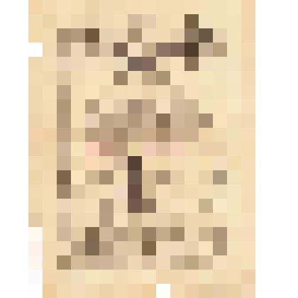 Благодарность гвардии старшему лейтенанту Житеневу Петру Ивановичу