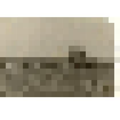 Фотография: лущение почвы в совхозе "Октябрь" Каменского района Алтайского края учащимися школы механизации