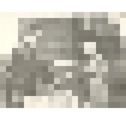 Фотография. «Вручение почетной грамоты, тренеру ДЮСШ»