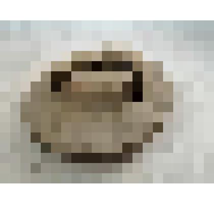 Крышка от туеска