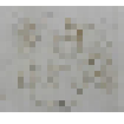 Положение во гроб