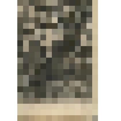 Открытка.Русские типы. «Деревенские девочки»