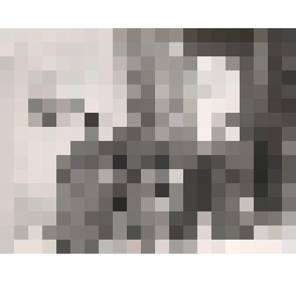 Фотография ч/б командования 129 ОПС 65-Армии в приёмной канцелярии Гитлера. г. Берлин. Германия