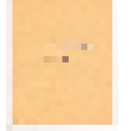 Тетрадь по истории