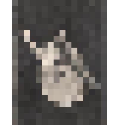 Фотооткрытка