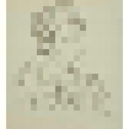 Девушка-боец МПВО. Автолитография