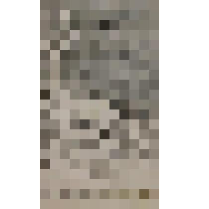Плод земли