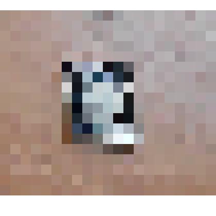 Значок «ПИТОМНИК ОБЕЗЬЯН. ИЭПиТ АМН СССР»