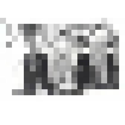 Фотография. Здание, в котором размещался Уком комсомола