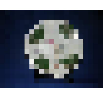 Блюдо фарфоровое с большими зелёными листьями