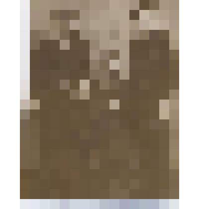 Курсанты отряда подводного плавания. Фотография