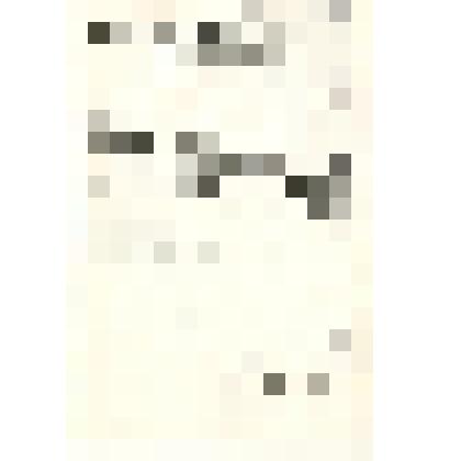 Фотокопия указа №1067 Его Императорского Величества, Самодержца Всероссийского Министру Внутренних дел о преобразовании села Камня Барнаульского уезда Томской губернии в город с введением в нем городского общественного управления