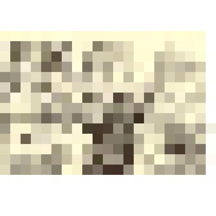 Фотография: праздник борозды по случаю окончания сева в Каменском районе Алтайского края. За трибуной секретарь ГК КПСС Журавлев