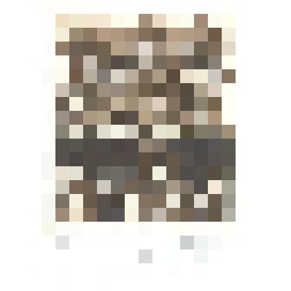 EX LIBRIS “YURI LIUKSHIN”. 1996