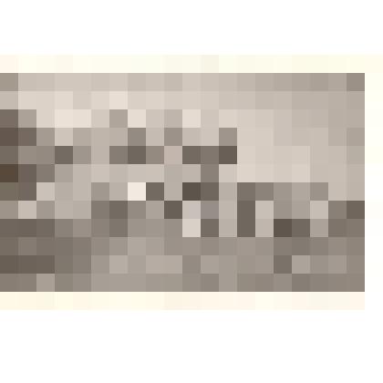 Фотография: дом купца Миловидова по улице Главной с. Камень Барнаульского уезда Томской губернии. Копия