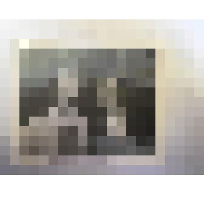 Фотопортрет Демидовых