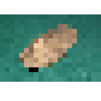 Колодка для шитья сапог из набора сапожных инструментов