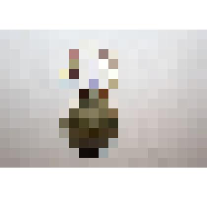 Нагрудный знак "За успехи в народном хозяйстве СССР". Принадлежал: Беспаловой Л. Ф