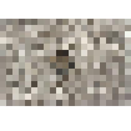 Значок круглый, серый с рельефным изображением портреиа Ленина