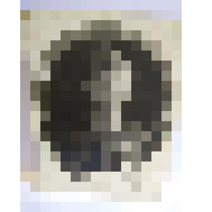 Фотография Соколова Вячеслава Дмитриевича