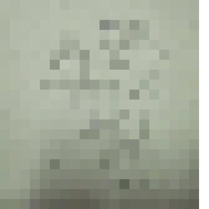 Супруга фараона. Благородные египтянки, из альбома "Зарисовки из римской истории". Рисунок