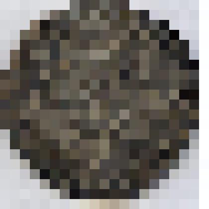 Монета. Испанские Нидерланды;Брабант. Филипп IV (1621-1665), патагон