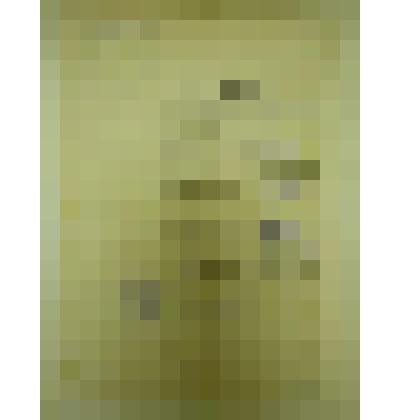 Документ. Свидетельство № 78 Центральной военно-морской школы ДОСААФ СССР Волкову Александру Ивановичу об окончании курсов. Из коллекции материалов по истории Кинешемской организации ДОСААФ (Вторая половина ХХ века)