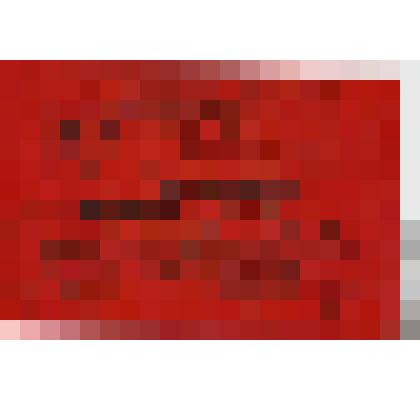 Мандат. Мандат № 24 Трошкина Алексея Федоровича, делегата 1Х Красноярской краевой межсоюзной конференции профсоюзов