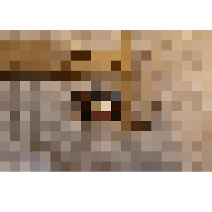 Кокарда солдат и унтер-офицеров Российской императорской армии