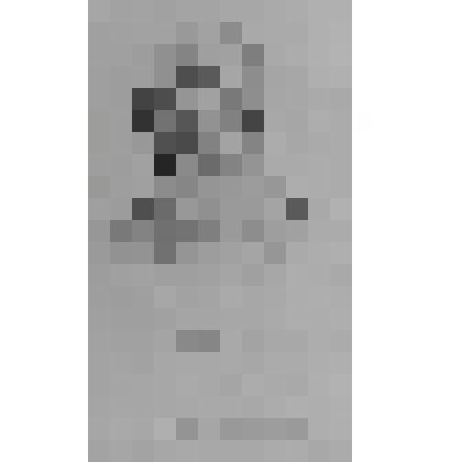 Портрет Фридриха Шиллера