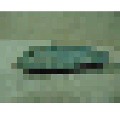 Тарелка (фрагмент)