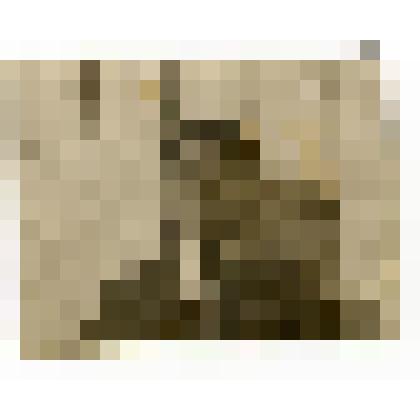 Етувги В.О. Фотография черно-белая