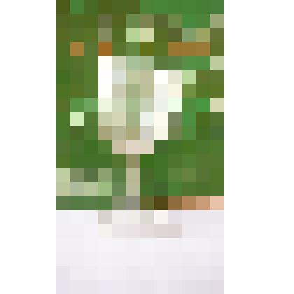 Рюмка, граненная  на ножке