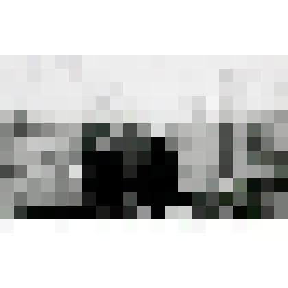 Негатив. Родственники и знакомые М.А. Шолохова во дворе дома