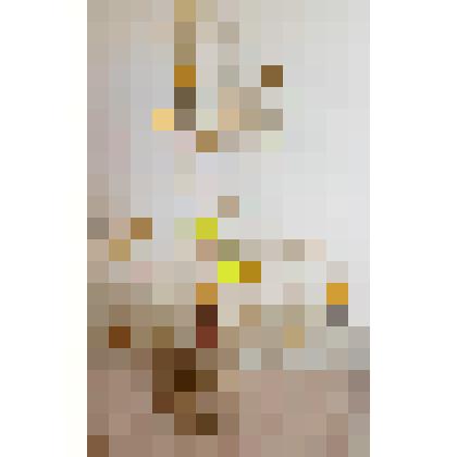 Кувшин в виде птицы (?) с красным петухом внтури, с пробкой в виде петуха