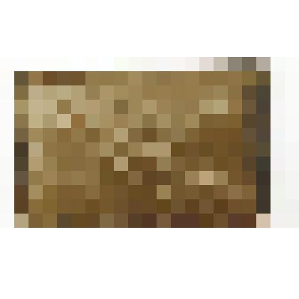 Фото Солдатова Н.Е. (гражданская война 1918 г.)