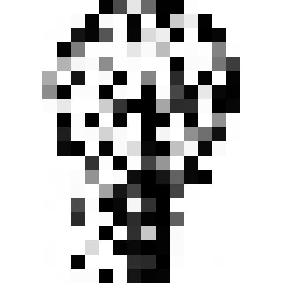 Экслибрис  Натальи Трапезниковой