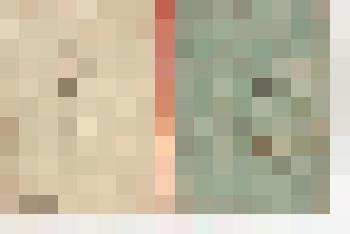 Книга. Сборник правил правописания по русскому языку для одноклассных церковно - приходских школ. Составил Новгородского уезда и епархии, Георгиевско - Выставской церкви священник Василий Цветаев. Новгород:Типо-Литогр. Новгород Губ. Правления, 1894. 36 с