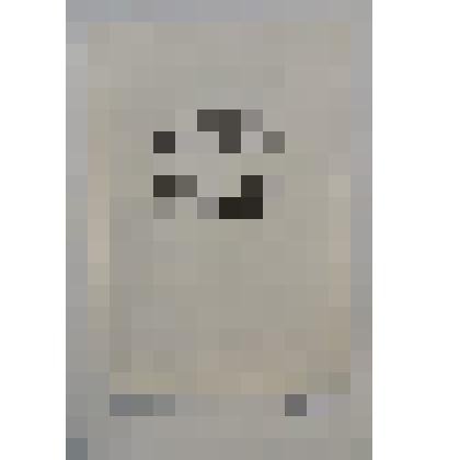 Проект 
 « По приглашению ЦК ВЛКСМ и Комитета Молодежных организаций СССРО для участия в работе 18 съезда ВЛКСМ прибыли делегации:»Привезла из Москвы с 18 съезда ВЛКСМ Наташа Неделяева