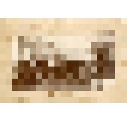 Групповой снимок. Участники заседания съезда улусных голов.1912 г